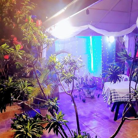 Hotel El Tronco Inc Boca Chica Kültér fotó